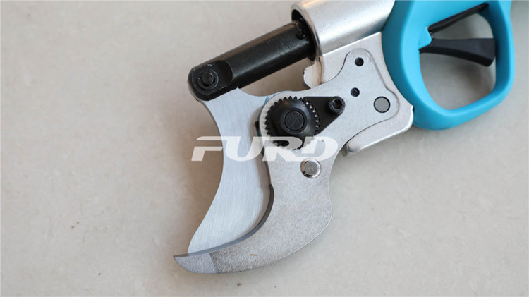 CZ4A5819.jpg